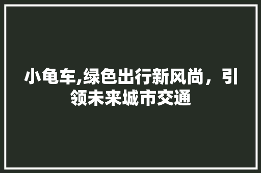 小龟车,绿色出行新风尚，引领未来城市交通