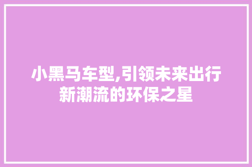 小黑马车型,引领未来出行新潮流的环保之星
