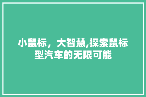 小鼠标，大智慧,探索鼠标型汽车的无限可能