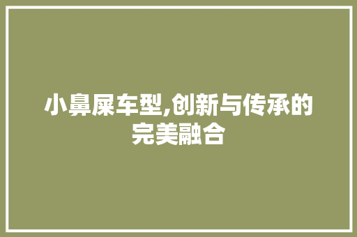 小鼻屎车型,创新与传承的完美融合