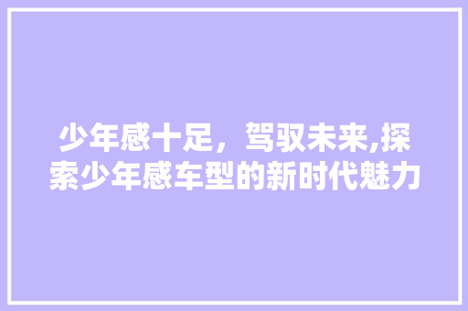 少年感十足，驾驭未来,探索少年感车型的新时代魅力