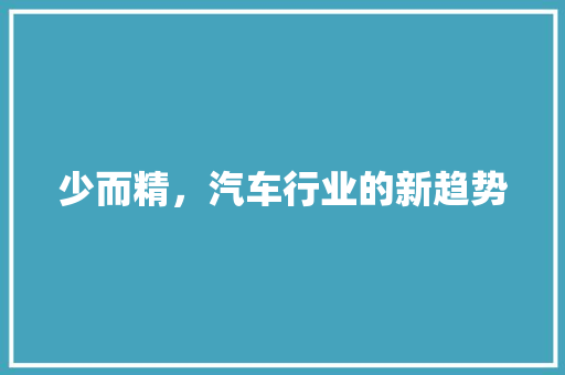 少而精，汽车行业的新趋势