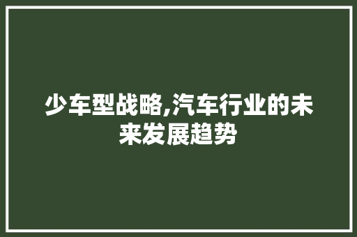 少车型战略,汽车行业的未来发展趋势
