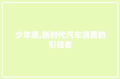 少年派,新时代汽车消费的引领者