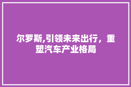 尔罗斯,引领未来出行，重塑汽车产业格局