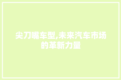 尖刀嘴车型,未来汽车市场的革新力量