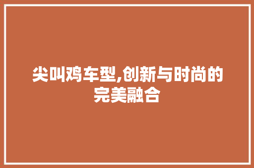 尖叫鸡车型,创新与时尚的完美融合