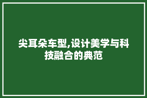 尖耳朵车型,设计美学与科技融合的典范