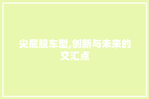 尖屁股车型,创新与未来的交汇点