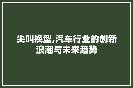 尖叫换型,汽车行业的创新浪潮与未来趋势