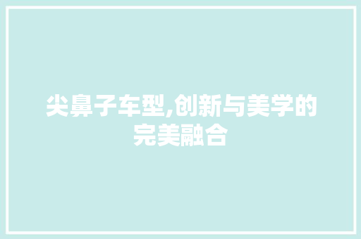 尖鼻子车型,创新与美学的完美融合