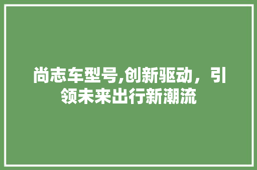 尚志车型号,创新驱动，引领未来出行新潮流