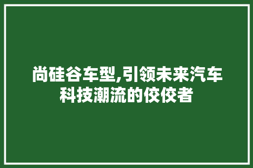 尚硅谷车型,引领未来汽车科技潮流的佼佼者