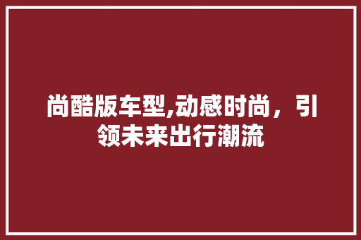 尚酷版车型,动感时尚，引领未来出行潮流