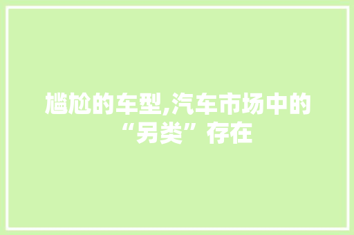 尴尬的车型,汽车市场中的“另类”存在
