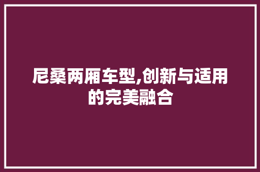 尼桑两厢车型,创新与适用的完美融合