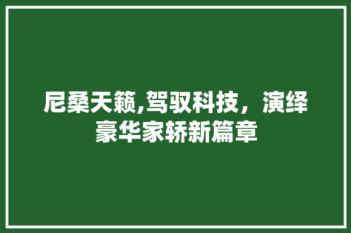 尼桑天籁,驾驭科技，演绎豪华家轿新篇章