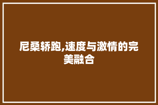 尼桑轿跑,速度与激情的完美融合