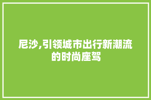尼沙,引领城市出行新潮流的时尚座驾