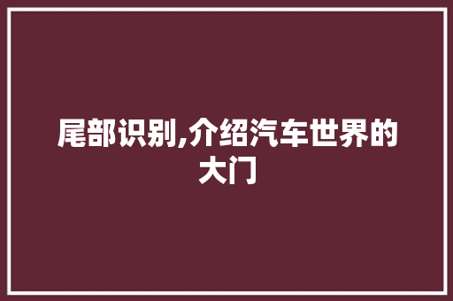 尾部识别,介绍汽车世界的大门