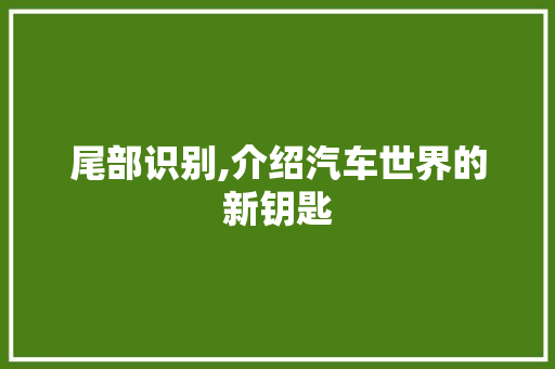 尾部识别,介绍汽车世界的新钥匙