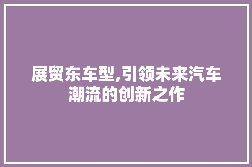 展贸东车型,引领未来汽车潮流的创新之作