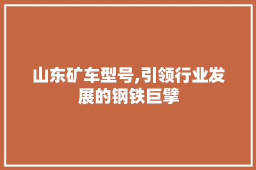 山东矿车型号,引领行业发展的钢铁巨擘