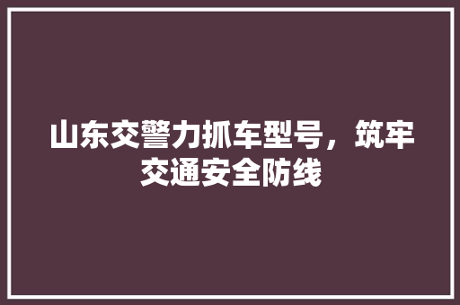 山东交警力抓车型号，筑牢交通安全防线