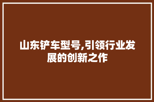 山东铲车型号,引领行业发展的创新之作
