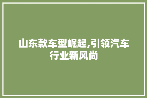 山东款车型崛起,引领汽车行业新风尚