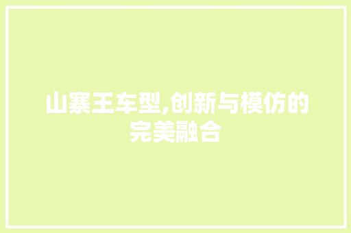 山寨王车型,创新与模仿的完美融合