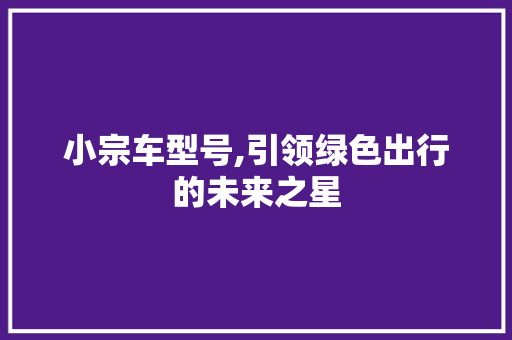 小宗车型号,引领绿色出行的未来之星