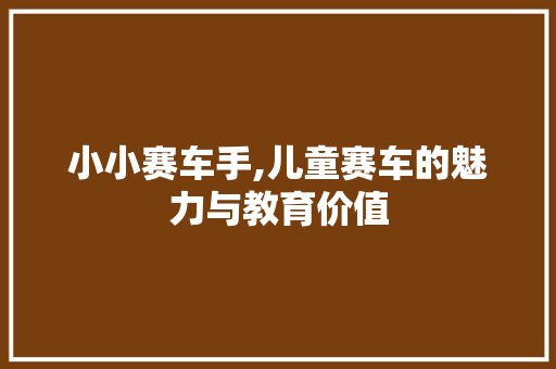 小小赛车手,儿童赛车的魅力与教育价值