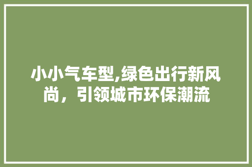 小小气车型,绿色出行新风尚，引领城市环保潮流