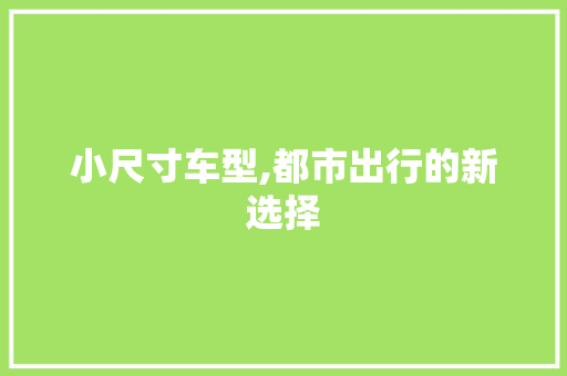 小尺寸车型,都市出行的新选择