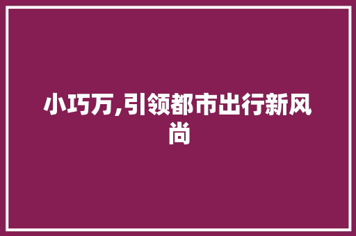 小巧万,引领都市出行新风尚