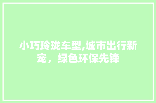 小巧玲珑车型,城市出行新宠，绿色环保先锋