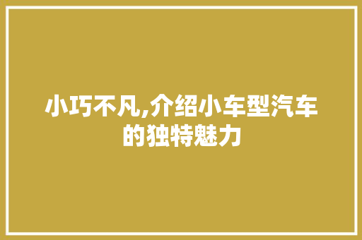 小巧不凡,介绍小车型汽车的独特魅力