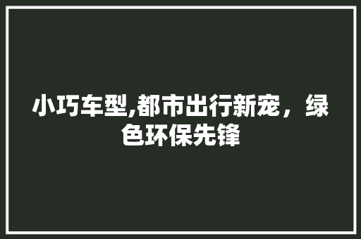 小巧车型,都市出行新宠，绿色环保先锋