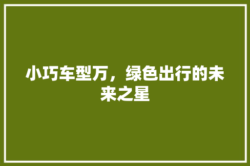 小巧车型万，绿色出行的未来之星