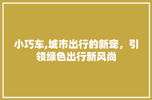 小巧车,城市出行的新宠，引领绿色出行新风尚