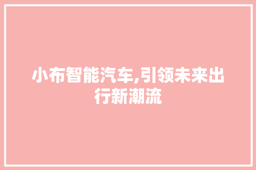 小布智能汽车,引领未来出行新潮流