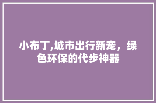 小布丁,城市出行新宠，绿色环保的代步神器