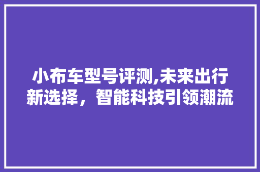 小布车型号评测,未来出行新选择，智能科技引领潮流