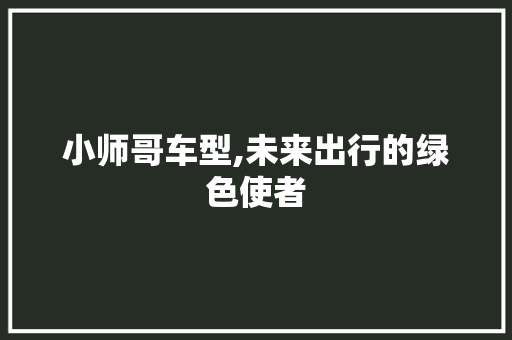 小师哥车型,未来出行的绿色使者