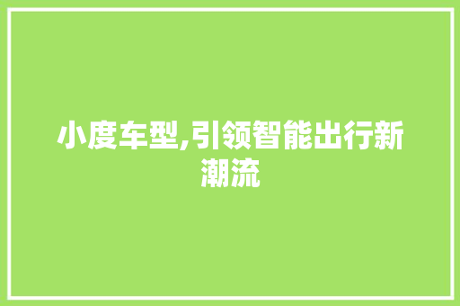 小度车型,引领智能出行新潮流