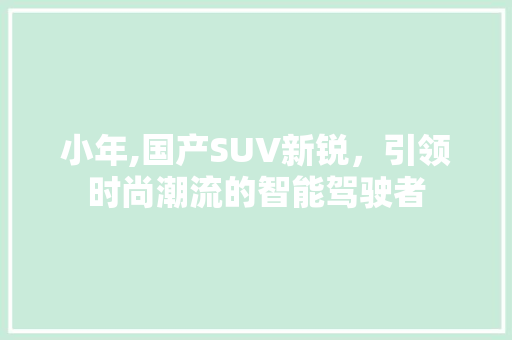 小年,国产SUV新锐，引领时尚潮流的智能驾驶者