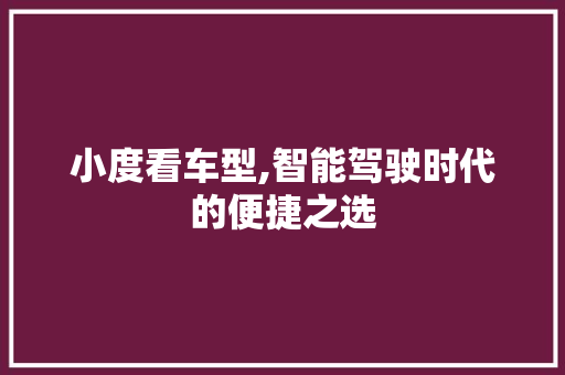 小度看车型,智能驾驶时代的便捷之选