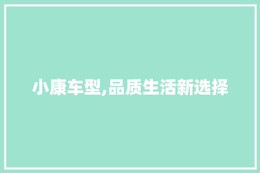 小康车型,品质生活新选择