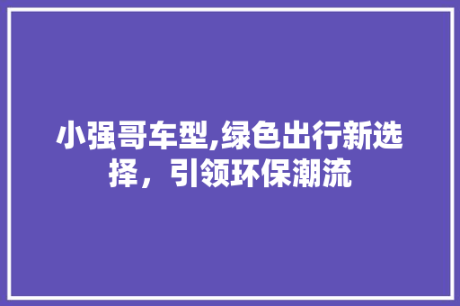 小强哥车型,绿色出行新选择，引领环保潮流
